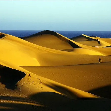 Apartament Precioso 11 By Casas Cocodrilo Playa del Inglés