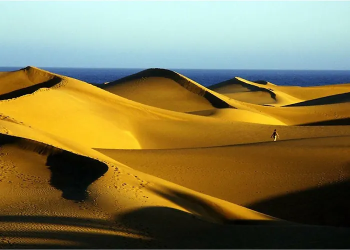 아파트 Precioso 11 By Casas Cocodrilo 플라야 델 잉글스