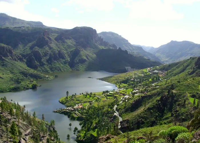 Precioso 11 By Casas Cocodrilo